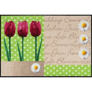Schmutzfangmatte Frühlingsblume waschbar Salonlöwe