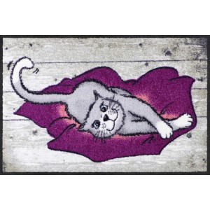 Fußmatte-eingangsbereich-katzen-cushion-cat-salonlöwe