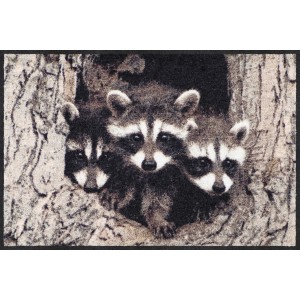 salonlöwe-fussmatte-wohnung-eingangsbereich-little-racoons-waschbar