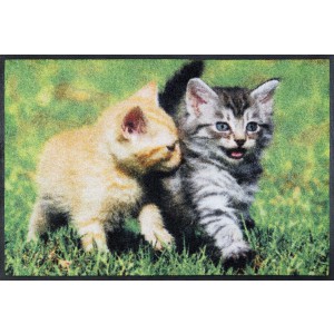 Fußmatte wash+dry Lovely Cats waschbar Detailansicht