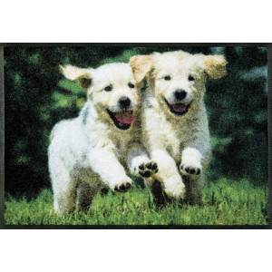 Fußmatte wash+dry Lovely Dogs waschbar Detailansicht