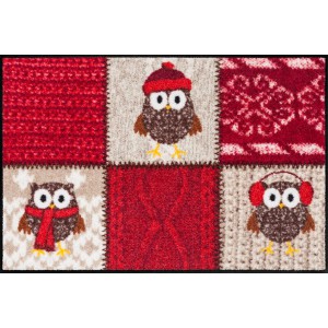 Schmutzfangmatte Winter Owls Salonlöwe waschbar