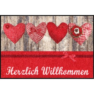Schmutzfangmatte Salonlöwe Hüttn Liab waschbar