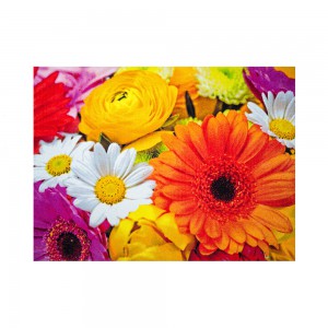 Sun & Fun Teppich Blüten Premium