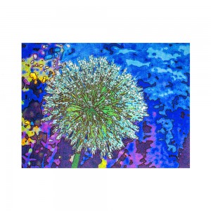 Sun & Fun Teppich Pusteblume Premium